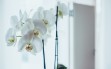 Physiotherapie Kettwig